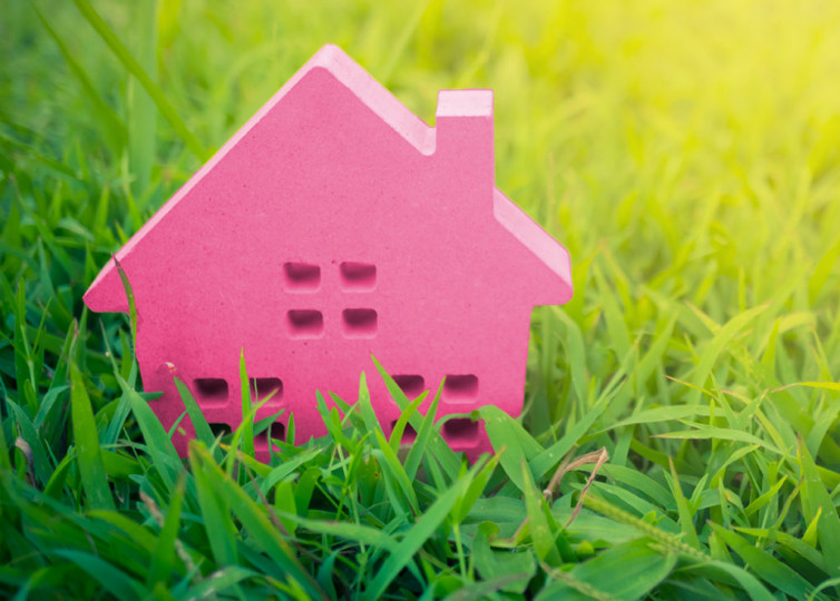 Pink House